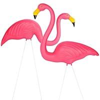 Algopix Similar Product 6 - Galashield Pink Flamingo Yard