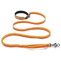 Algopix Similar Product 19 - RUFFWEAR Roamer Dog Leash Adjustable