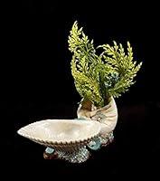 Algopix Similar Product 11 - Double Shells Trinkets Bowl with Mini