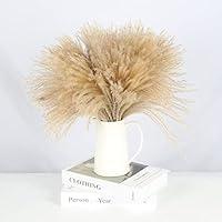 Algopix Similar Product 1 - HUAESIN Natural Dried Pampas Grass