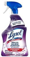 Algopix Similar Product 12 - Lysol Mildew Remover Spray with Bleach