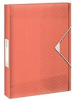 Algopix Similar Product 20 - Esselte 626263 Box File 40 mm Fishing