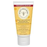 Algopix Similar Product 1 - Burts Bees Baby Bee 100 Natural