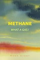 Algopix Similar Product 8 - Methane . . . What a Gas!
