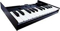 Algopix Similar Product 10 - Roland K25M Boutique Module Dock USB