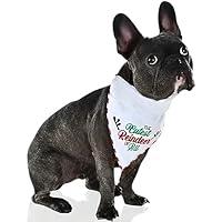 Algopix Similar Product 6 - Reversible Reindeer Pet Bandana  One