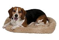 Algopix Similar Product 16 - 23.5 X 16.5 Petmate Bolster Mat 25-30Lbs