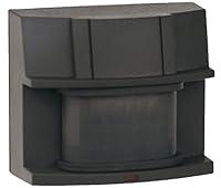Algopix Similar Product 8 - Globe Electric SL5407BZ 180Degree