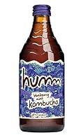 Algopix Similar Product 7 - Humm Kombucha, Blueberry Mint, 14 fl oz