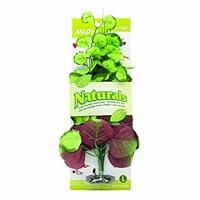 Algopix Similar Product 18 - Marina Naturals Pennywort Silk Plant