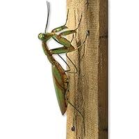 Algopix Similar Product 11 - Bits and Pieces  Praying Mantis Tree