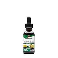 Algopix Similar Product 18 - Natures Answer Yellow Dock Root