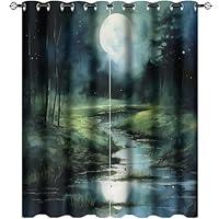 Algopix Similar Product 16 - Rustic Woodland Night Landscape