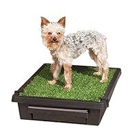 Algopix Similar Product 11 - PetSafe Pet Loo Portable Dog Potty 