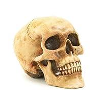 Algopix Similar Product 19 - Grinning Highly Realistic Replica Human