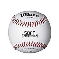 Algopix Similar Product 7 - WILSON Sporting Goods Practice and Soft