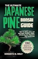 Algopix Similar Product 17 - The Ultimate Japanese Pine Bonsai