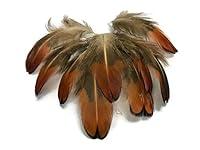 Algopix Similar Product 18 - 50 Pieces  2530 Natural Golden
