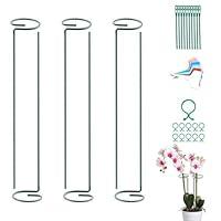 Algopix Similar Product 11 - 6 Pack 16 inch Plant Support Stakes