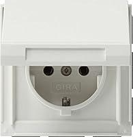 Algopix Similar Product 14 - GIRA 45466 Plug