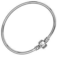 Algopix Similar Product 16 - European Charm Bracelet for Women and