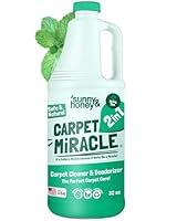 Algopix Similar Product 16 - Sunny  Honey Carpet Miracle  Carpet