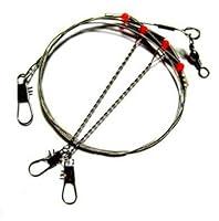 Algopix Similar Product 8 - CJESLNA 10 Pcs Fishing Wire Leader