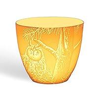 Algopix Similar Product 8 - LightGlow CL006 Candle CupOwls 72