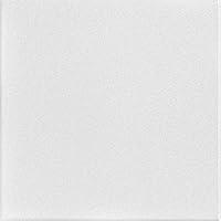 Algopix Similar Product 15 - A La Maison Ceilings R22 Basic Foam
