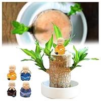 Algopix Similar Product 17 - ZKXMCL Brazilian Wood Mini Brazil Lucky