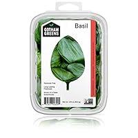 Algopix Similar Product 17 - Gotham Greens Basil, 1.25 oz Clamshell