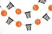 Algopix Similar Product 8 - Seyal Basketball and Basketball Hoop