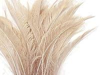 Algopix Similar Product 19 - 5 Pieces  Ivory Bleached  Dyed