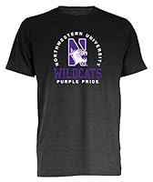 Algopix Similar Product 3 - Camp David NCAA Northwestern Wildcats