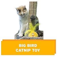 Algopix Similar Product 13 - Pet Krewe Catnip Toy  Sesame Street