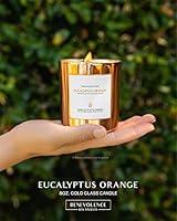 Algopix Similar Product 1 - Eucalyptus  Orange Scented Candles for
