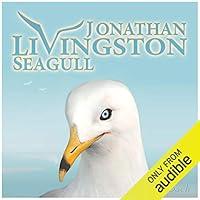 Algopix Similar Product 5 - Jonathan Livingston Seagull The New