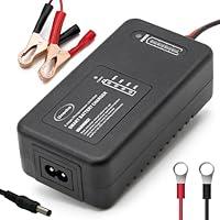 Algopix Similar Product 5 - 146 Volt LiFePO4 Battery Charger