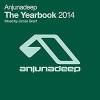 Algopix Similar Product 3 - Anjunadeep The Yearbook 2014 Mixed by