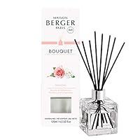 Algopix Similar Product 2 - MAISON BERGER Paris Chic Reed Diffuser