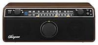 Algopix Similar Product 1 - Sangean WR12 BT WR12BT 
