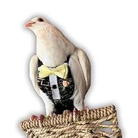 Algopix Similar Product 6 - Bevs Birds Boutique Flyper Adjustable