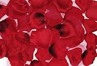 Algopix Similar Product 2 - Big Value Rose Petals, 300-Piece, Red