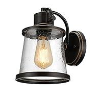 Algopix Similar Product 18 - GLOBE Electric 44127 Charlie 1Light