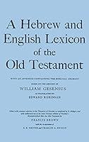 Algopix Similar Product 13 - A Hebrew and English Lexicon of the Old