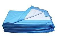 Algopix Similar Product 19 - Disposable Underpads 1342 23x24