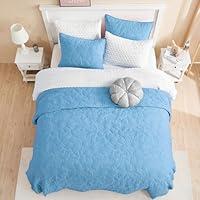 Algopix Similar Product 4 - SHALALA NEW YORK Blue Quilt Set Queen