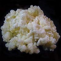 Algopix Similar Product 13 - 1 TBSP Milk Kefir Grains and eBook