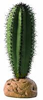 Algopix Similar Product 11 - Exo Terra Saguaro Cactus Terrarium Plant