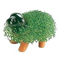 Algopix Similar Product 4 - Chia Pet Puppy with Seed Pack